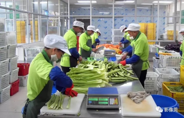 莞港記憶 農(nóng)副產(chǎn)品鏡頭中的時(shí)光印記