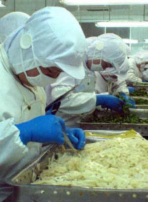 山東農副產品出口大幅增長，優質特色產品走俏國際市場