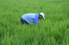 塞上江南，物阜民豐——探秘寧夏特色農副產品產業