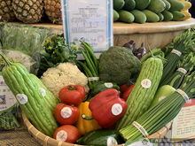 上林扶貧農副產品展銷中心在南寧揭牌 架起產銷橋梁，助力鄉村振興